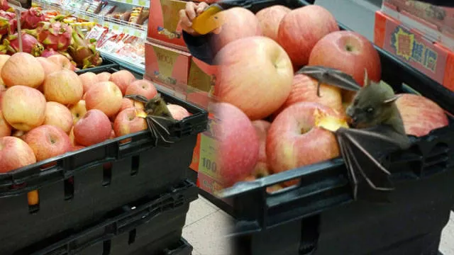 Picdump 1 - #30 