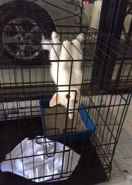 Picdump 1 - #63 