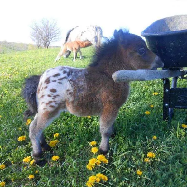 Picdump 38 - #111 