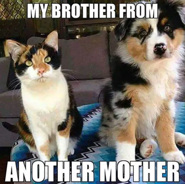 Picdump 38 - #120 