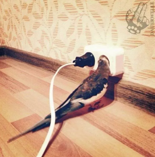 Picdump 38 - #26 