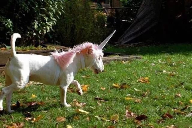 Picdump 38 - #28 