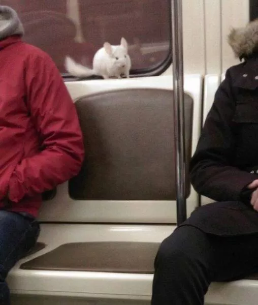 Picdump 38 - #33 