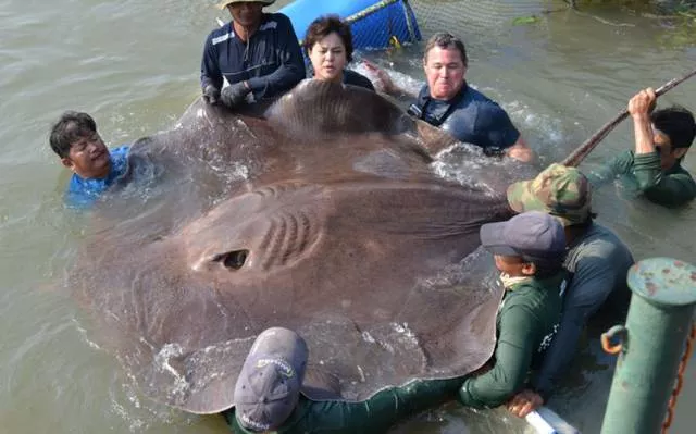 Picdump 38 - #39 