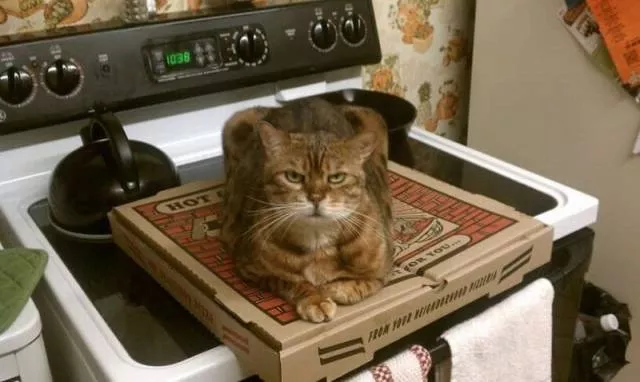 Picdump 38 - #4 