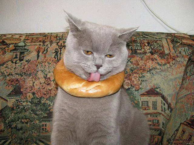 Picdump 38 - #41 