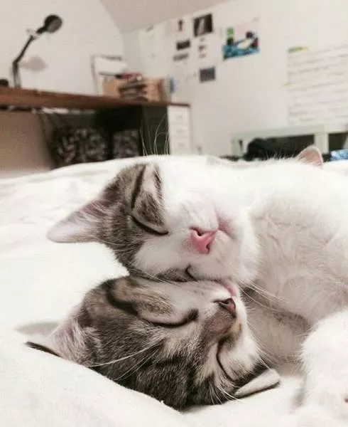 Picdump 38 - #44 