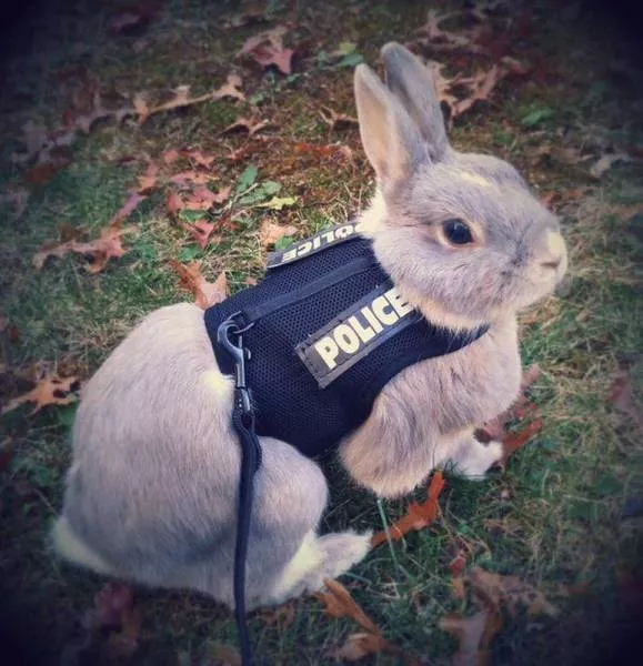 Picdump 38 - #47 