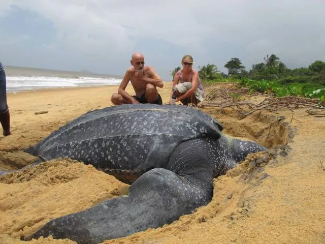 Picdump 38 - #48 