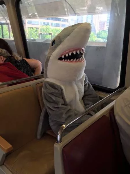 Picdump 38 - #91 
