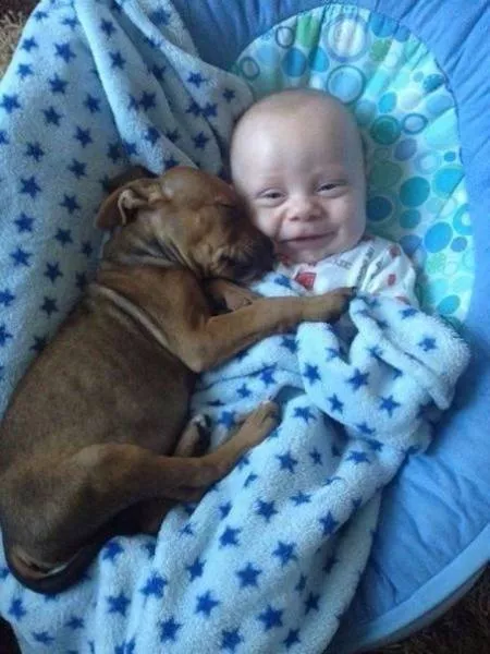 Une image dit plus que mille mots - #23 