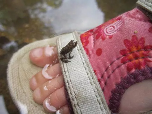 Picdump 214 - #12 