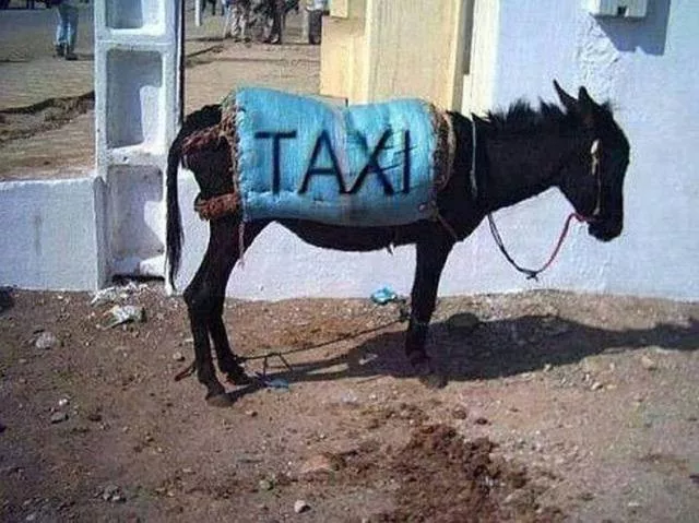 Picdump 214 - #17 