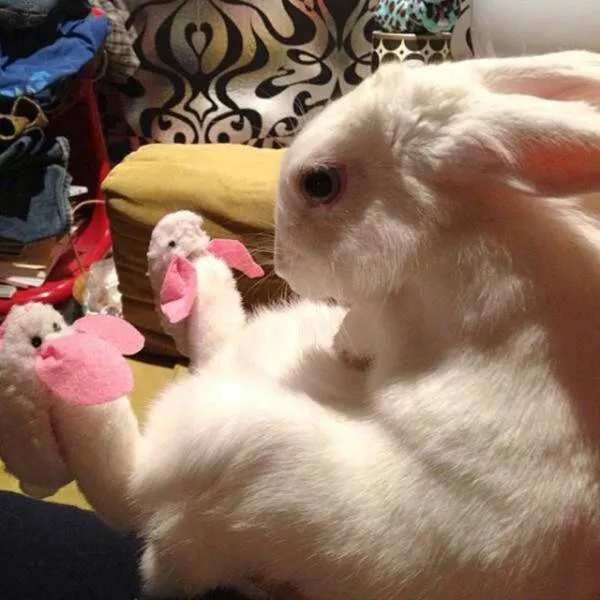 Picdump 214 - #20 