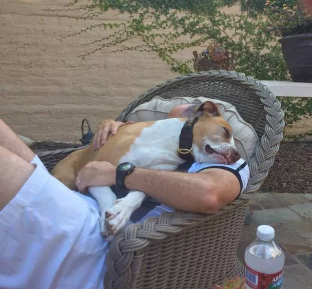 Picdump 214 - #3 