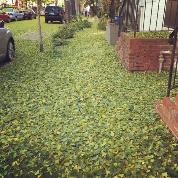 Picdump 214 - #30 