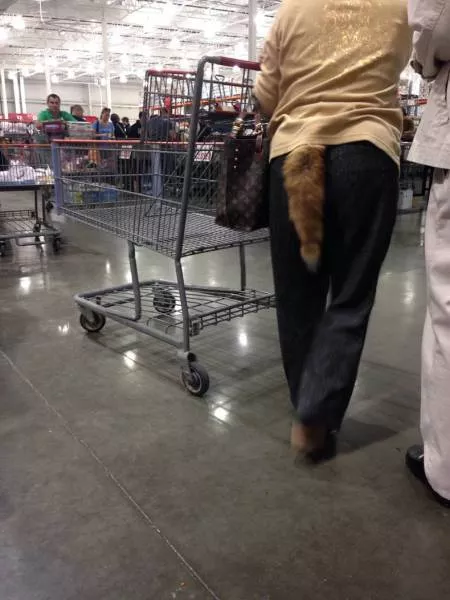 Picdump 214 - #36 