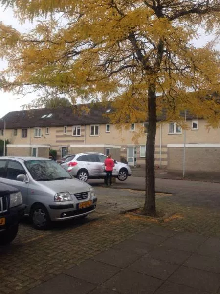 Picdump 214 - #41 
