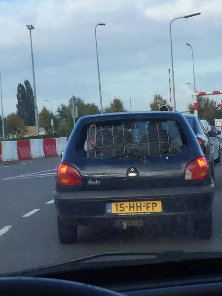 Picdump 214 - #46 
