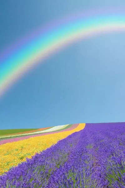 A real pleasure for the eyes - #19 