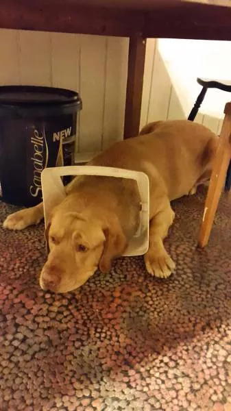 Picdump 215 - #22 