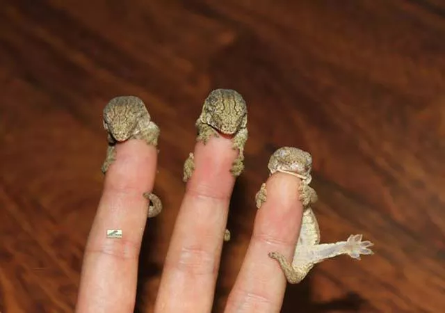 Picdump 215 - #30 