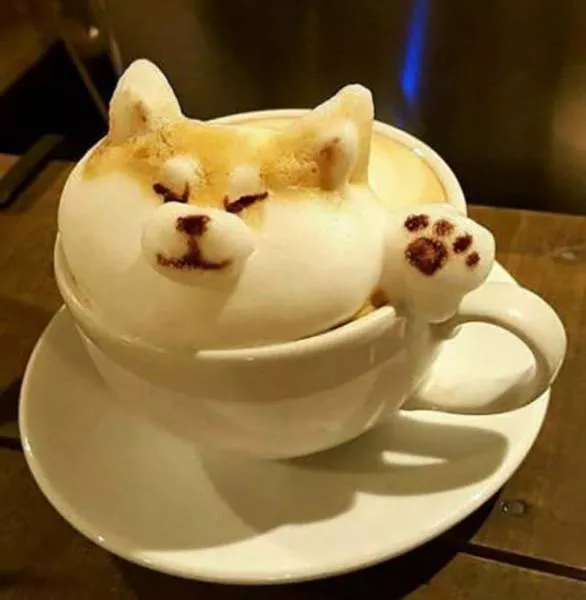 Picdump 215 - #34 