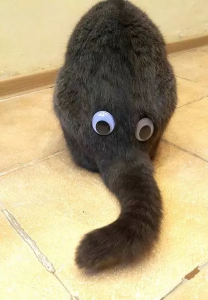 Picdump 215 - #38 