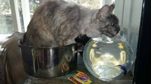 Picdump 215 - #39 