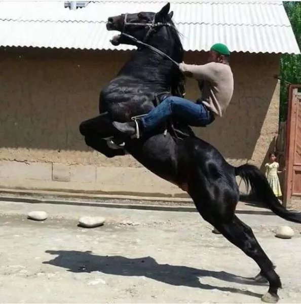 Picdump 215 - #40 