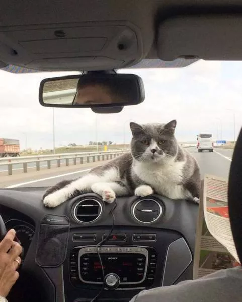 Picdump 215 - #45 
