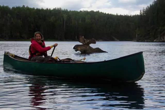 Picdump 215 - #81 