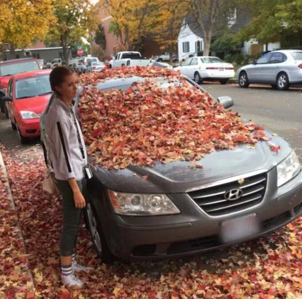 Picdump 216 - #10 