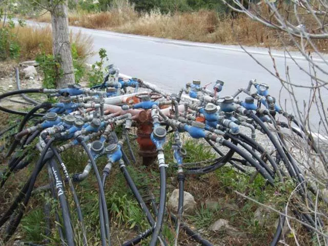 Picdump 216 - #13 