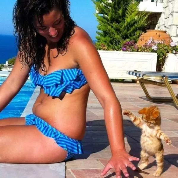 You can not resist these cute cats - #30 