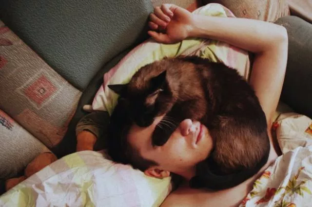 You can not resist these cute cats