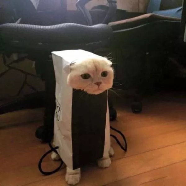 Picdump 217 - #36 