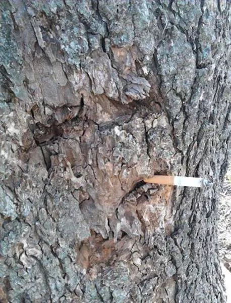 Picdump 218 - #2 