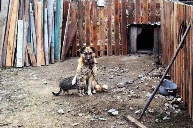 Picdump 218 - #29 