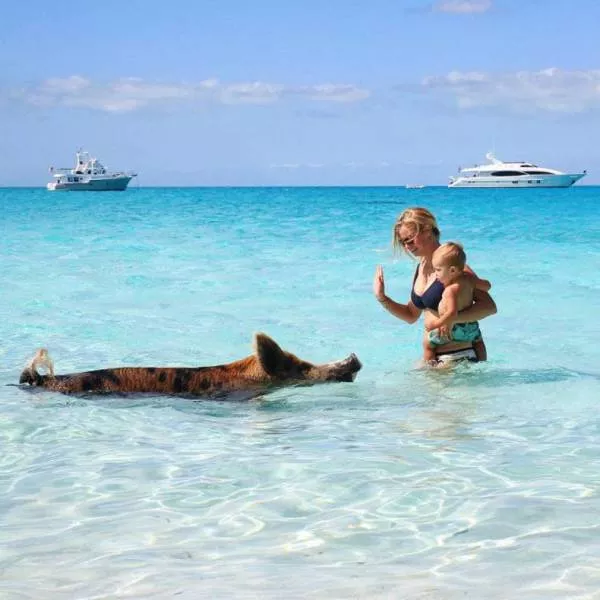 Picdump 218 - #65 