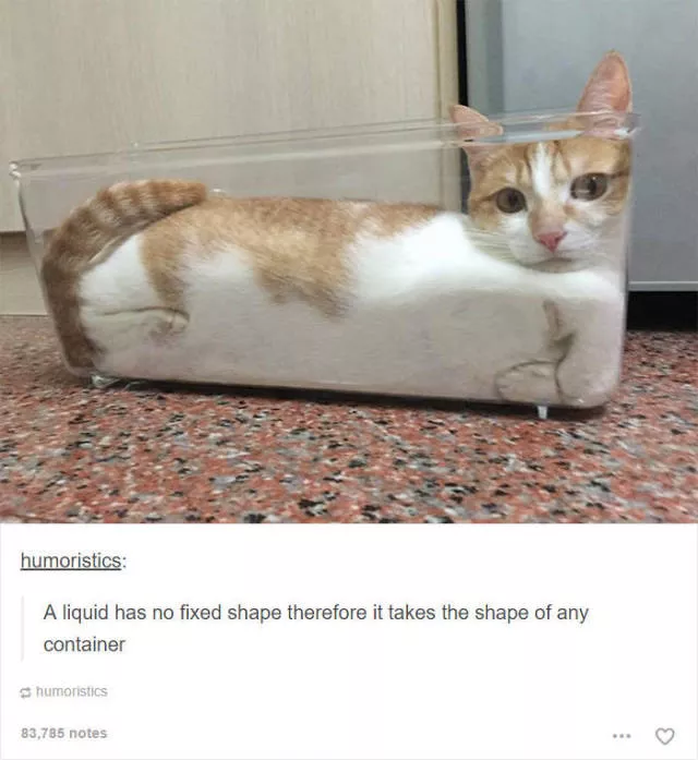 Hilarious cat posts - #25 Hilarious cat posts - #25