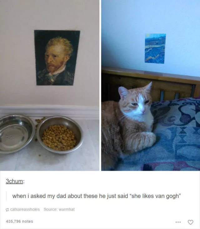 Hilarious cat posts - #26 Hilarious cat posts - #26