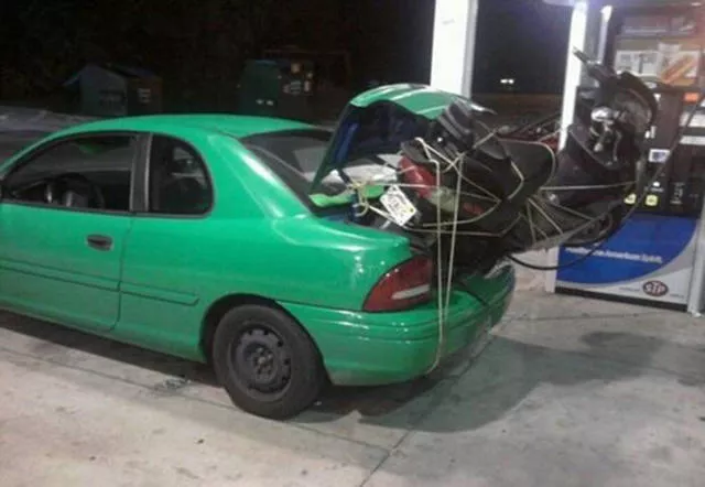Picdump 219