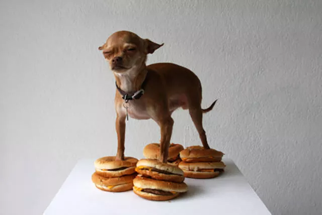 Picdump 219 - #45 