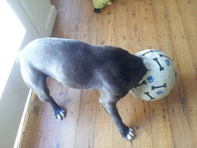 Picdump 219 - #50 