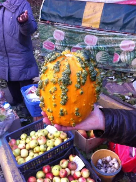 Picdump 220 - #55 