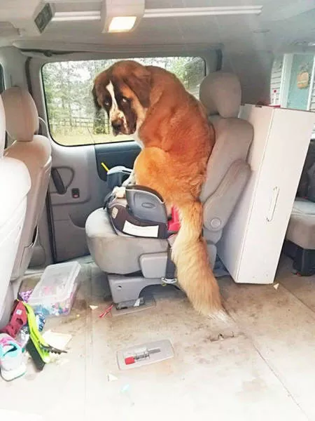 Picdump 221 - #17 