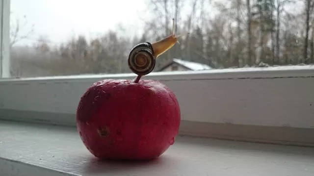 Picdump 222 - #11 