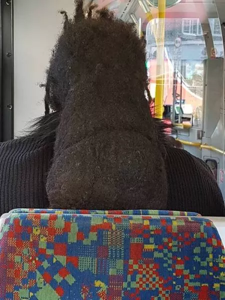 Picdump 222 - #13 