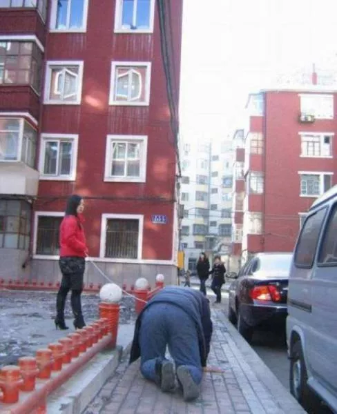 Picdump 222 - #41 Picdump 222 - #41